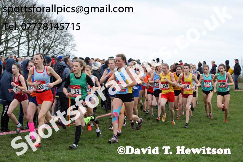 Intermediate girls 2019 New Balance English Schools Cross Country Champs, Temple Newsam, Leeds. Photo:  David T. Hewitson/Sports for All Pics